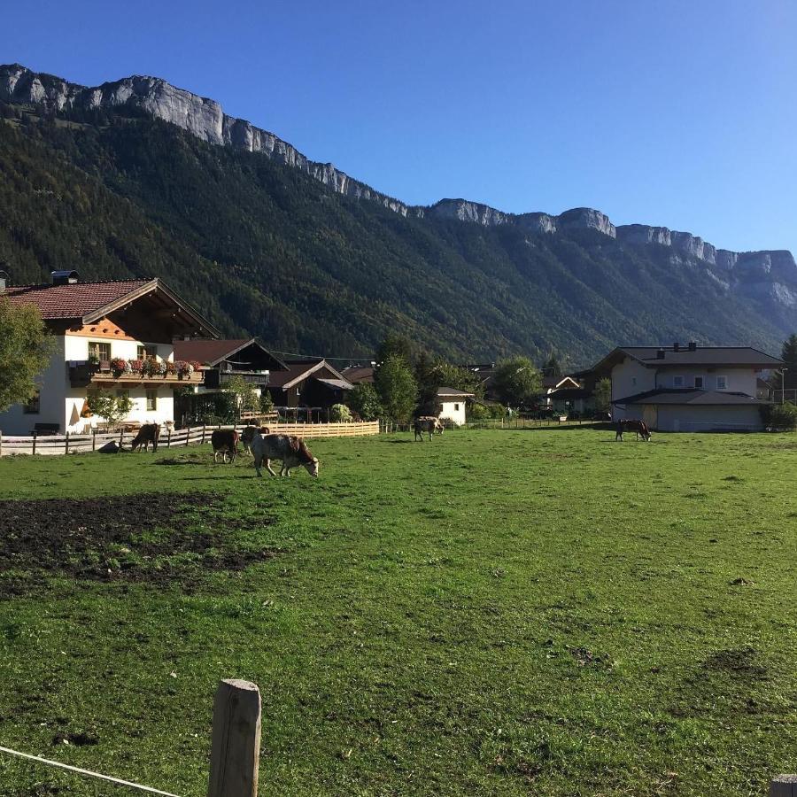 Apartamento Haus Alpenrose Waidring Exterior foto