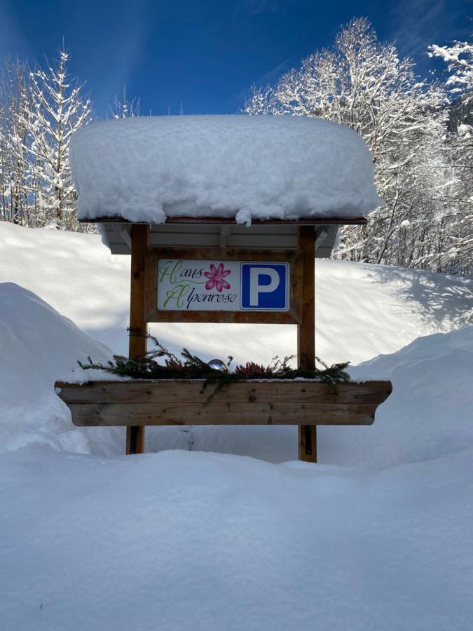 Apartamento Haus Alpenrose Waidring Exterior foto