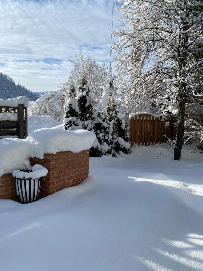 Apartamento Haus Alpenrose Waidring Exterior foto